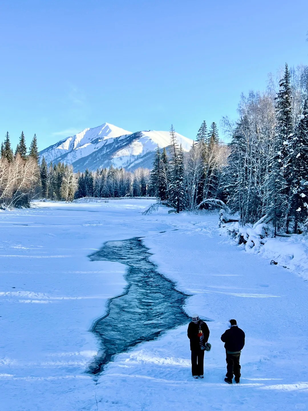 新疆冬天怎么玩？这份冬季攻略带你解锁人少景美的冰雪仙境！